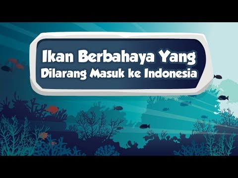 Indonesia Baik