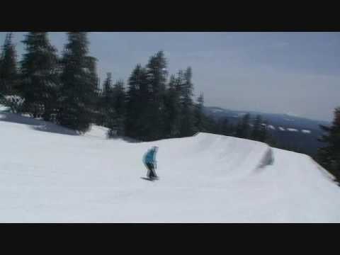 Alex Gavic 2008 2009