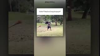 Download lagu Langsung ga mood jir 🤭 #meme mp3