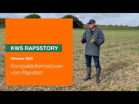 Rapsstory - Kompaktinformationen vom Rapsfeld - Oktober 2022
