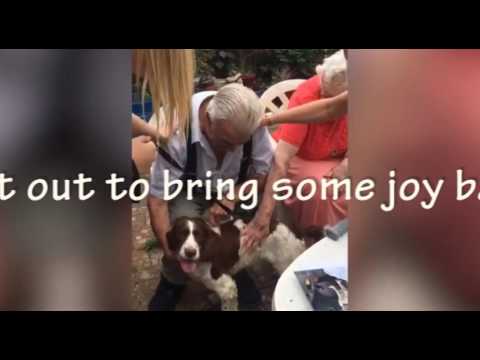 Grandpa, 82, Breaks Down in Tears After Getting New Dog to Replace Pooch that Passed Away