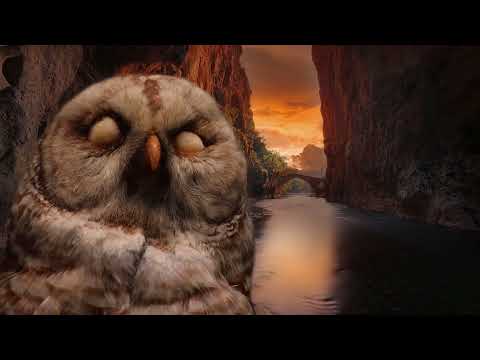 Sound Of River And Hoot Of Owl - nature sounds to sleep