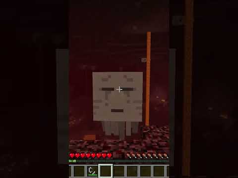 CURSED NETHER DIMENSION #shorts #minecraft