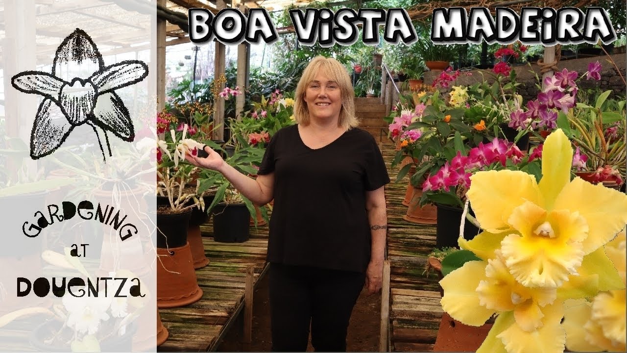 Virtual tour of Quinta da Boa Vista Orchid Garden.