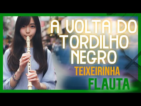 A Volta do Tordilho Negro - Teixeirinha