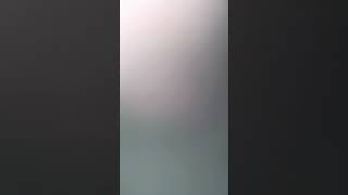 Download lagu Haley mp3