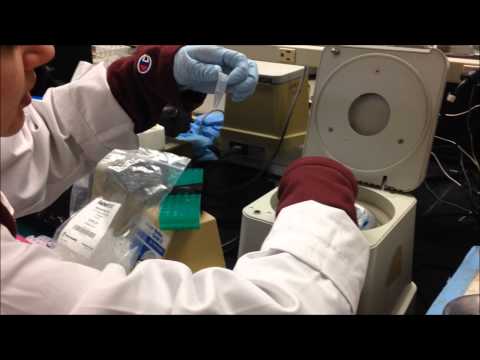 Saliva collection training video