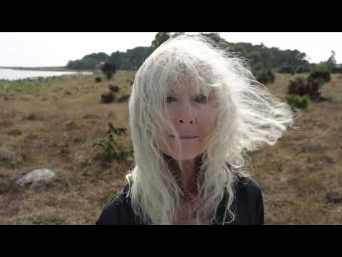 Merit Hemmingson improvises over Spaceship Earth