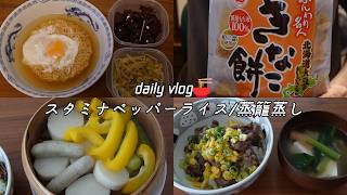 【vlog】自炊ルーティン｜台所が暑い｜在宅ワーク｜日々の料理【一人暮らし】