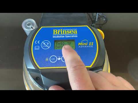Setting the Brinsea Incubator