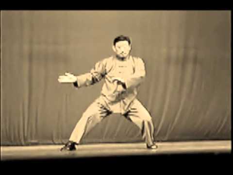 Taiji, Chen Xiaowang, demonstration, master of chenstyle taiji, grandmaster, taijiquan, 陈小旺