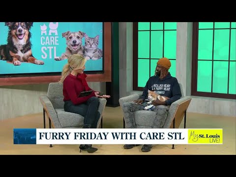 Care STL "Sip & Shop" - YouTube