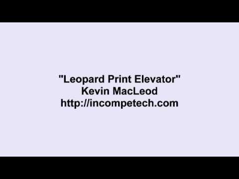 Video thumbnail for Leopard Print Elevator