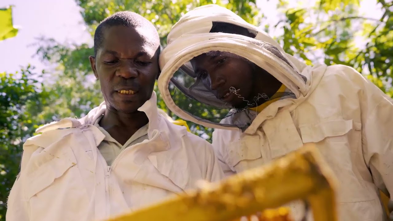 Ilarion’s Story: Three Generations of Beekeeping in Haiti