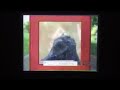 Sesame Street Theme Song Sunny Days 1999