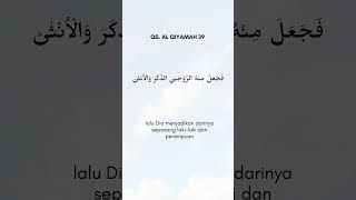 Download lagu Qs Al Qiyamah 39 #yukmengaji #satuayat  #ayatpendek #alquran #doa  #shortvideo #ayat #quotes #video mp3