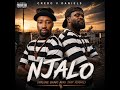 Credo V Daniels - Njalo Njalo (Malume Bravo Cover)