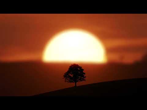 Vibe Chemistry - RADIO 1 DnB CHILL MIX