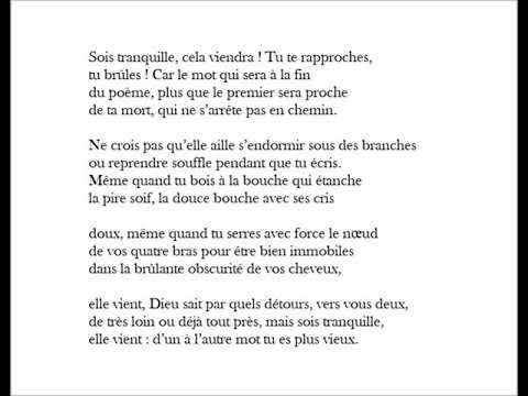 Sois tranquille, cela viendra !, Philippe Jaccottet