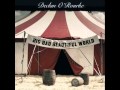 Declan O'rourke-A song on love and hate