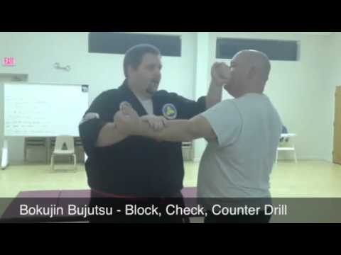 Bokujin Bujutsu - Block, Check, Counter Drill