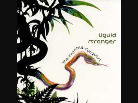liquid stranger - rough road