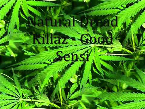 Natural Dread Killaz - Good Sensi