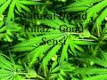Natural Dread Killaz - Good Sensi 
