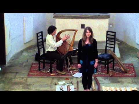 Jan Braunstein (lyre) & Martina Fišerová (voice) - True Colors (by Cyndi Lauper)