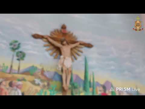 Transmissão ao vivo de Paróquia Nossa Senhora  Conceição de Pedro II-PI