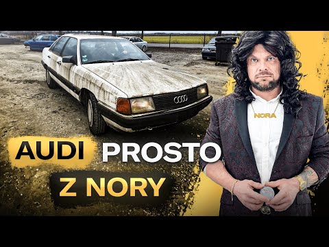 Thumbnail for GRATODETAILING 11: NAJLEPSZE AUDI LAT OSIEMDZIESIĄTYCH PROSTO Z NORY #detailing #fun by Audi