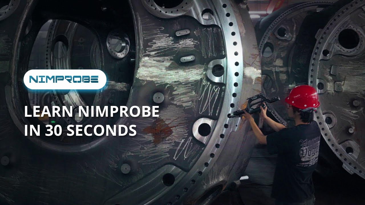 LEARN NIMPROBE IN 30 SECONDS