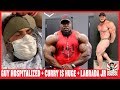 Brandon Curry Looks Huge + Guy Cisternino Hospitalized + Labrada Jr Update + More!