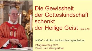 Pfingstmontag 2025: Die Gewissheit der Gotteskindschaft schenkt der Heilige Geist (Röm 8,16)