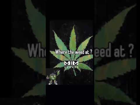 323GusR - Where the weed at? FT 323munks