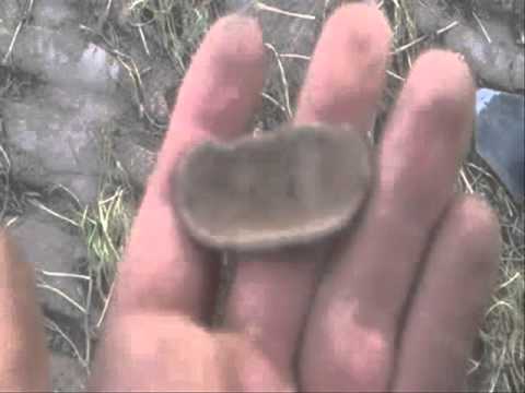 Moje Wykopki Odc. 107 (SE02 E7)