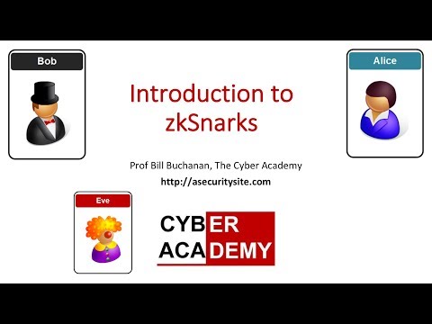 Introduction to zkSnarks