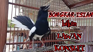 Download lagu KACER EMOSI BONGKAR MATERI BIKIN LAWAN TARUNG KONSLET mp3