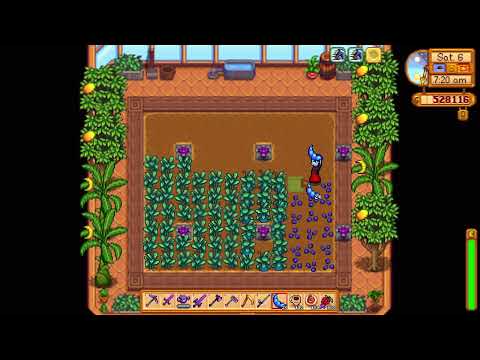 Can you put Qi Fruit in Seed Maker to get more Qi Beans for Qi Quest ?