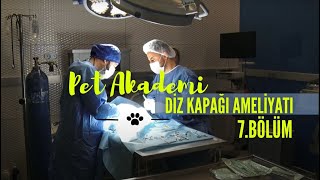 PET AKADEMİ | 7. Bölüm