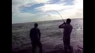 preview picture of video 'Robalo Flecha de 10kg - Itacaré/Bahia - Ponta do Xaréu.'