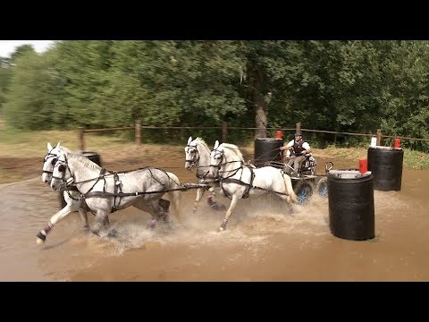 Vozatajský Světový pohár v Nebanicích 2019 ovládl Geerts, Nesvačil skončil šestý