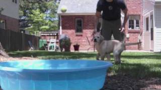 Henry & the Pool:  Round 1