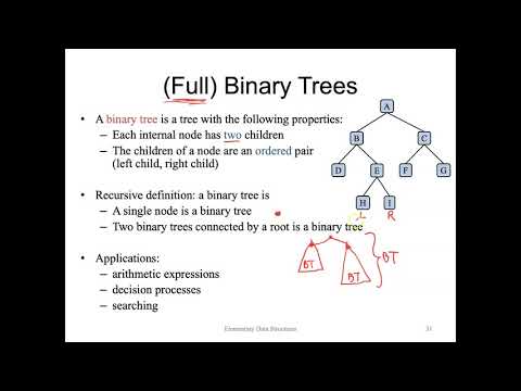 Elementary Data Structures - Trees