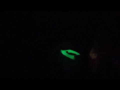 Glow In The Dark Freestyle Libre Sensor Holder Guardian Sensor Protector