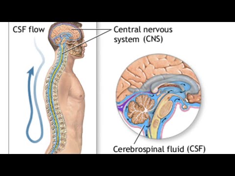 Święta tajemnica Chrystus wewnątrz - The Sacred Secret Of The Christ Within by Santos Bonacci