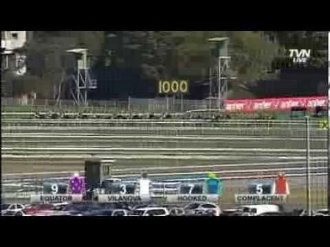 THUNDER FANTASY Royal Randwick 12-10-2013