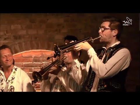 DH Túfaranka - Hustopečská dolinečka