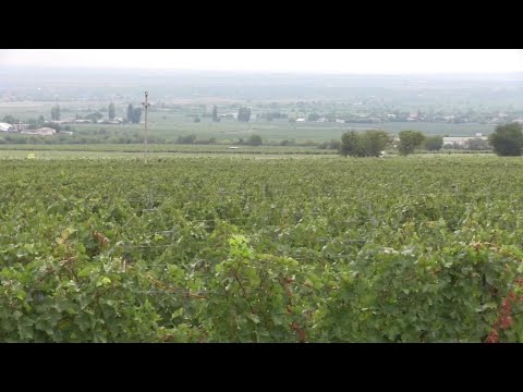 VRANCEA PITOREASCA - Comuna Virtescoiu - septembrie 2022