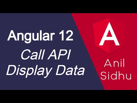 Angular 12 tutorial for beginners 1 Introduction